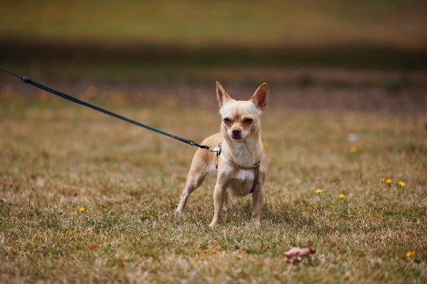 Hoe kun je casual en chic combineren in één outfit?
